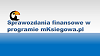 sprawozdania finansowe w programie księgowym online sprawozdania finansowe